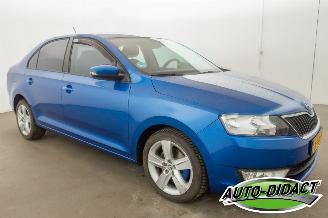 Skoda Rapid 1.6 TDI Clima Greentech Ambition picture 2