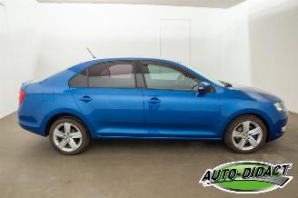 Skoda Rapid 1.6 TDI Clima Greentech Ambition picture 39
