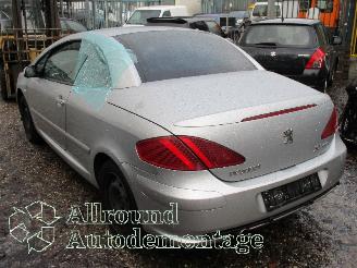 Peugeot 307 307 CC (3B) Cabrio 2.0 16V (EW10J4(RFN)) [100kW]  (10-2003/06-2005) picture 4