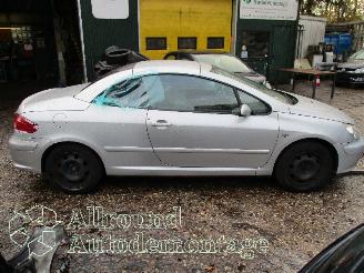 Peugeot 307 307 CC (3B) Cabrio 2.0 16V (EW10J4(RFN)) [100kW]  (10-2003/06-2005) picture 7