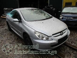 Peugeot 307 307 CC (3B) Cabrio 2.0 16V (EW10J4(RFN)) [100kW]  (10-2003/06-2005) picture 2