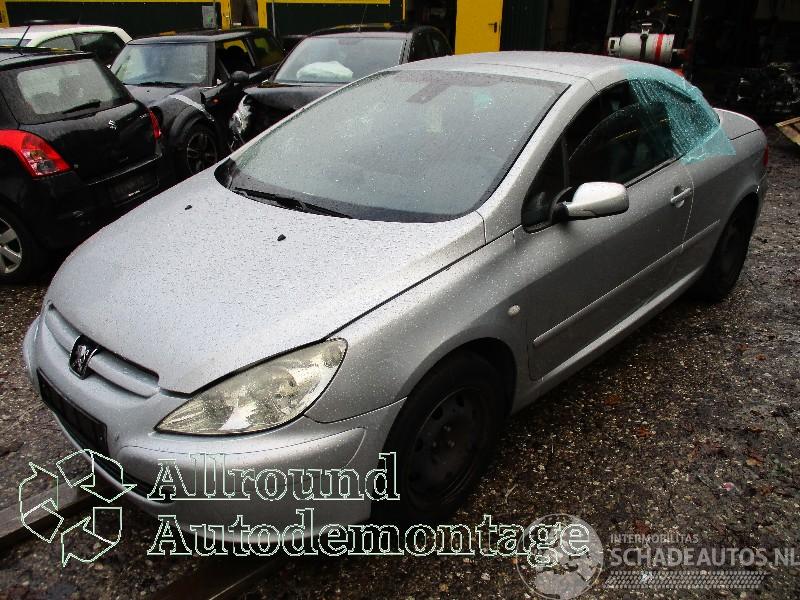 Peugeot 307 307 CC (3B) Cabrio 2.0 16V (EW10J4(RFN)) [100kW]  (10-2003/06-2005)