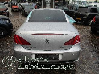 Peugeot 307 307 CC (3B) Cabrio 2.0 16V (EW10J4(RFN)) [100kW]  (10-2003/06-2005) picture 6