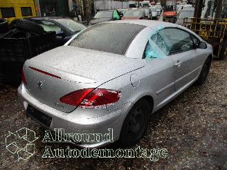 Peugeot 307 307 CC (3B) Cabrio 2.0 16V (EW10J4(RFN)) [100kW]  (10-2003/06-2005) picture 3