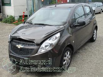  Chevrolet Spark Spark (M300) Hatchback 1.0 16V Bifuel (LMT) [48kW]  (07-2010/12-2015) 2012