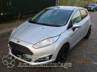 Vrakbiler auto Ford Fiesta Fiesta 6 (JA8) Hatchback 1.0 EcoBoost 12V 100 (SFJA(Euro 5)) [74kW]  (=
01-2013/06-2017) 2014/6