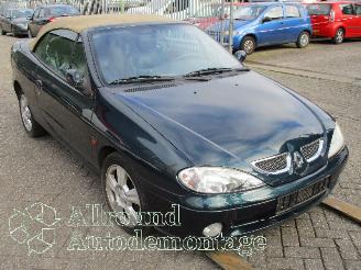 Renault Mégane Megane (EA) Cabrio 1.6 16V Sport (K4M-701) [79kW]  (03-1999/07-2003) picture 12