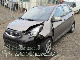 Purkuautot passenger cars Kia Picanto Picanto (TA) Hatchback 1.0 12V (G3LA) [49kW]  (05-2011/06-2017) 2017