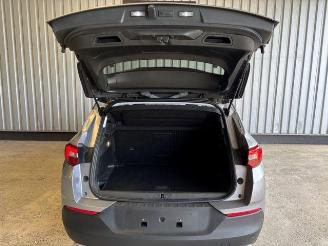 Opel Grandland (X) 120 Jahre R-Kamera / Navi / LED picture 14
