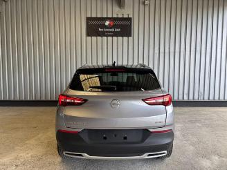 Opel Grandland (X) 120 Jahre R-Kamera / Navi / LED picture 9