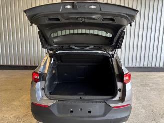 Opel Grandland (X) 120 Jahre R-Kamera / Navi / LED picture 14