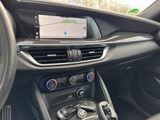 Alfa Romeo Stelvio Quadrifoglio Q4 Carbon / Pano / VOLL picture 14