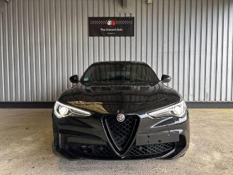 Alfa Romeo Stelvio Quadrifoglio Q4 Carbon / Pano / VOLL picture 9