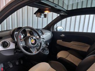 Fiat 500 DolceVita Ellenator Panorama picture 12