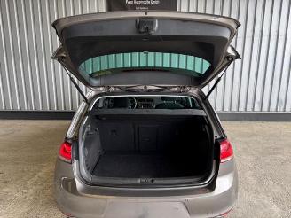 Volkswagen Golf VII Lim. 1.6 TDI Comfortline BlueMotion picture 13