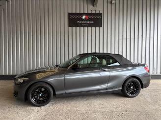 okazja samochody osobowe BMW 2-serie 0d Advantage Cabriolet LED / Navigation 2018/9
