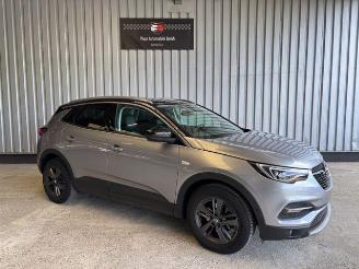 Opel Grandland (X) 120 Jahre R-Kamera / Navi / LED picture 7