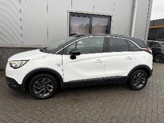 Opel Crossland X 1.2 120 Jaar Edition picture 15