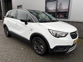 Opel Crossland X 1.2 120 Jaar Edition picture 1