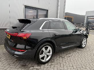 Audi E-tron 55 Quattro Advanced Pro Line Plus 95kWh picture 11