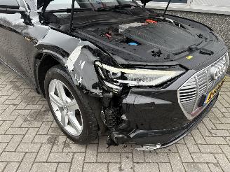 Audi E-tron 55 Quattro Advanced Pro Line Plus 95kWh picture 23