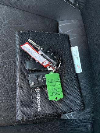 Skoda Rapid Spaceback 1.0TSI Greentech Clever picture 15