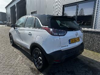Opel Crossland 1.2 120 Jaar Edition picture 19