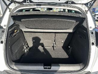 Opel Crossland 1.2 120 Jaar Edition picture 13