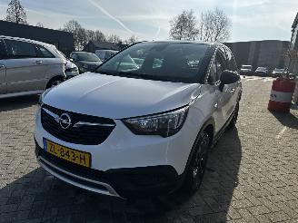 Opel Crossland 1.2 120 Jaar Edition picture 10