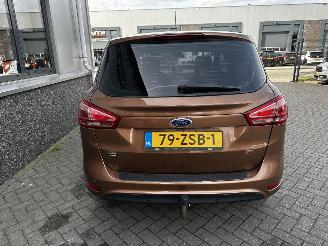 Ford B-Max 1.0 EcoBoost Titanium picture 7