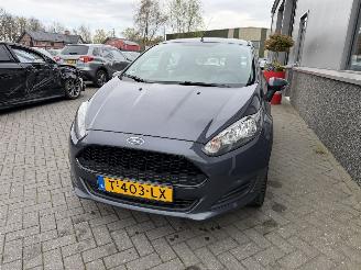Schadeauto Ford Fiesta 1.25 Trend 2013/6