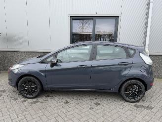 Ford Fiesta 1.25 Trend picture 14
