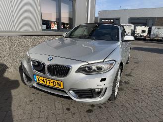 BMW 2-serie 230i Executive Cabrio picture 7