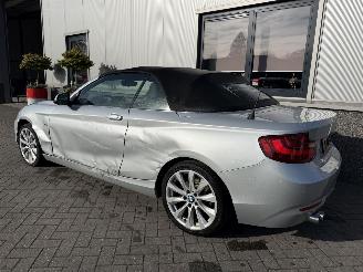 BMW 2-serie 230i Executive Cabrio picture 10