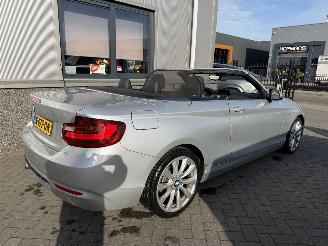 BMW 2-serie 230i Executive Cabrio picture 24