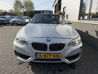 BMW 2-serie 230i Executive Cabrio picture 3