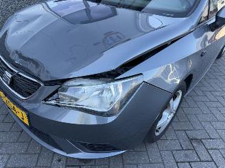 Seat Ibiza 1.4 COPA Plus picture 24