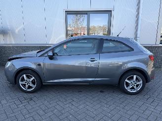 Seat Ibiza 1.4 COPA Plus picture 13