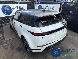 Auto da rottamare Land Rover Range Rover Range Rover Evoque II (LZC/LZS/LZH), SUV, 2018 2.0 P250 MHEV 16V AWD 2019/8