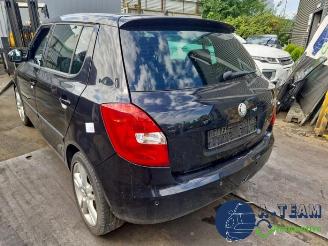 Skoda Fabia Fabia II (5J), Hatchback 5-drs, 2006 / 2014 1.6i 16V picture 13