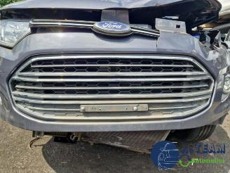 Ford EcoSport EcoSport (JK8), SUV, 2013 1.0 EcoBoost 12V 125 picture 17