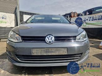 Volkswagen Golf Golf VII Variant (AUVV), Combi, 2013 / 2021 1.6 TDI BlueMotion 16V picture 5