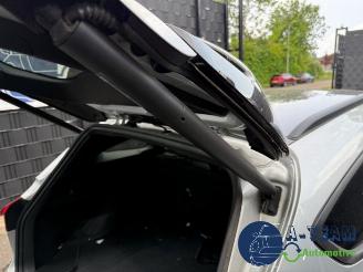 Ford Focus Focus 4 Wagon, Combi, 2018 / 2025 1.5 EcoBlue 120 picture 32