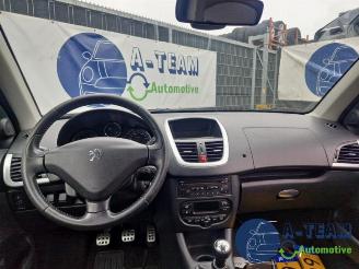 Peugeot 206 206+ (2L/M), Hatchback, 2009 / 2013 1.4 XS picture 24
