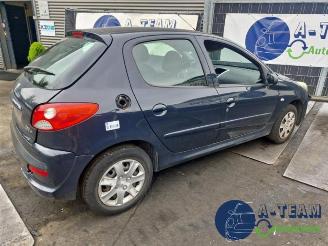 Peugeot 206 206+ (2L/M), Hatchback, 2009 / 2013 1.4 XS picture 14