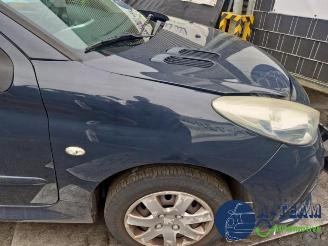 Peugeot 206 206+ (2L/M), Hatchback, 2009 / 2013 1.4 XS picture 15