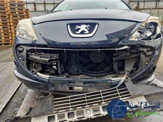 Peugeot 206 206+ (2L/M), Hatchback, 2009 / 2013 1.4 XS picture 20