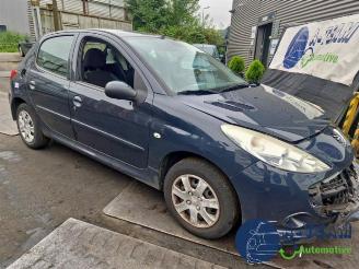 Peugeot 206 206+ (2L/M), Hatchback, 2009 / 2013 1.4 XS picture 10