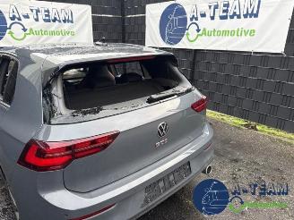 Volkswagen Golf Golf VIII (CD1), Hatchback, 2019 2.0 GTI 16V picture 17