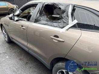 Jaguar F-Pace F-Pace, SUV, 2015 / 2025 2.0 D 180 16V AWD picture 24